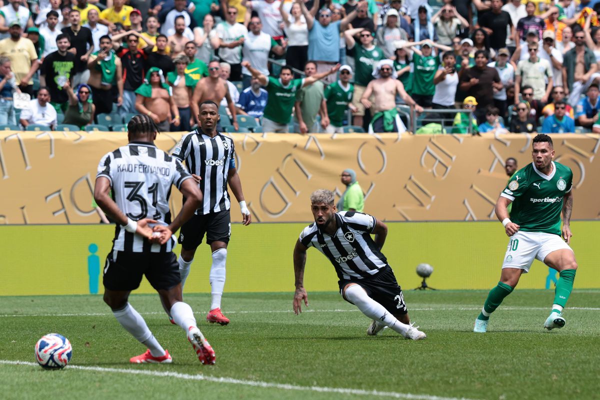 Palmeiras - Botafogo