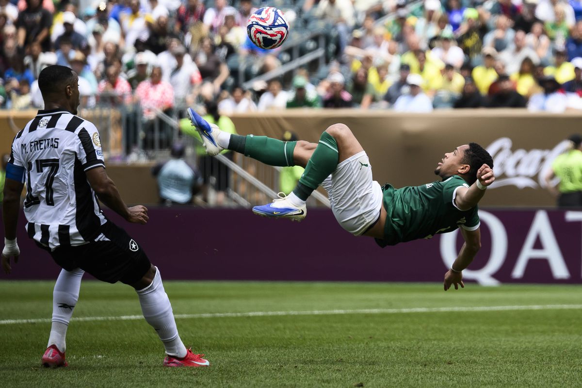 Palmeiras - Botafogo