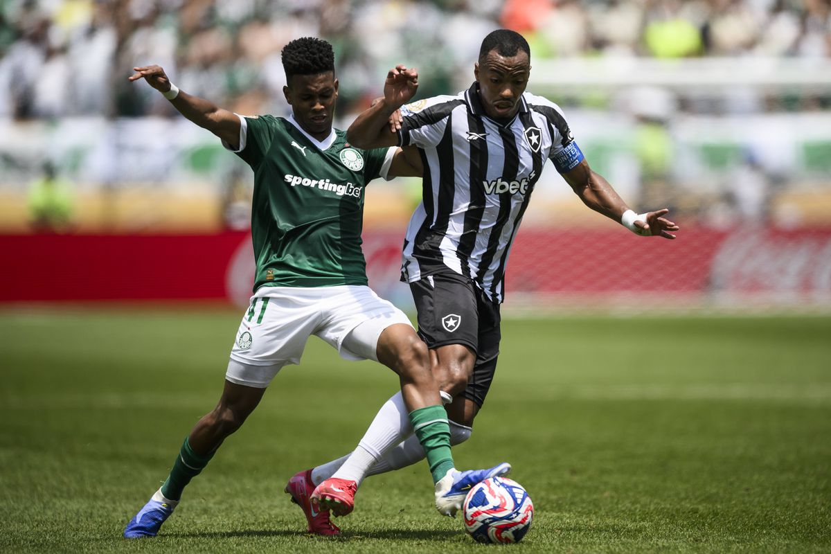 Palmeiras - Botafogo