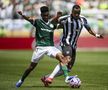Palmeiras - Botafogo, în „optimile” Campionatului Mondial al Cluburilor 2025 / Foto: Imago Images
