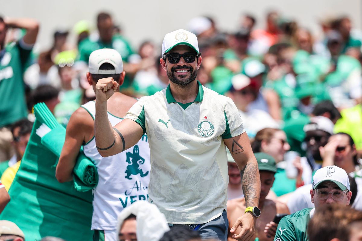 Palmeiras - Botafogo