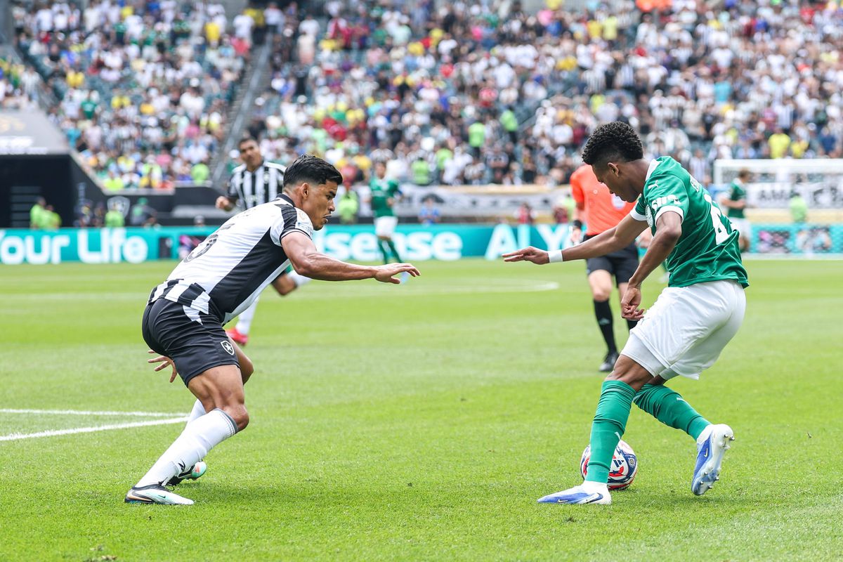 Palmeiras - Botafogo