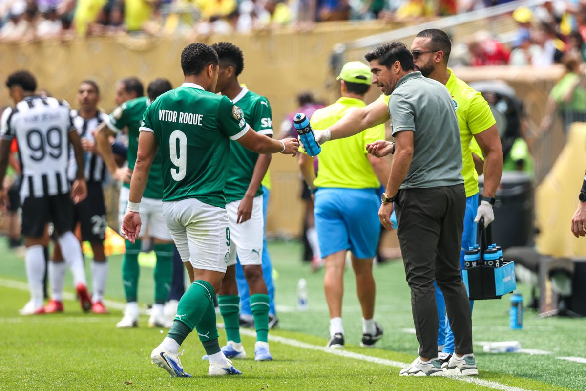 Palmeiras - Botafogo