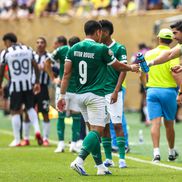 Palmeiras - Botafogo, în „optimile” Campionatului Mondial al Cluburilor 2025 / Foto: Imago Images