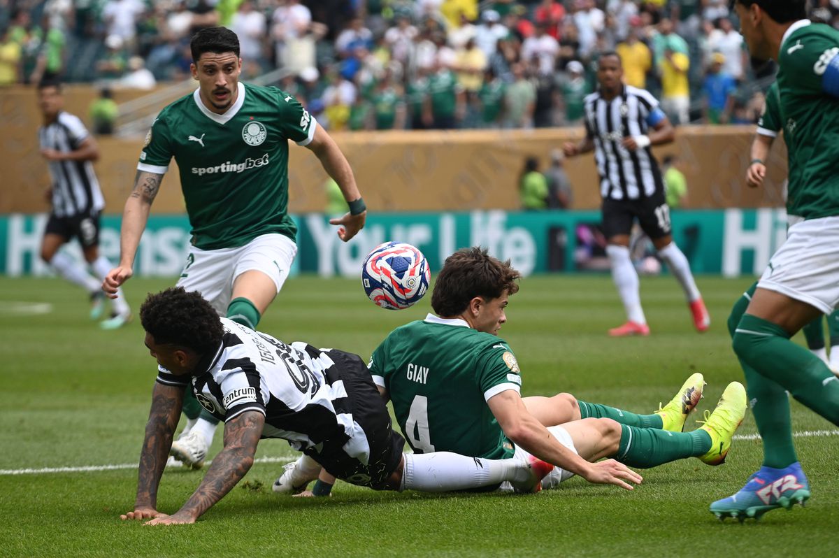 Palmeiras - Botafogo