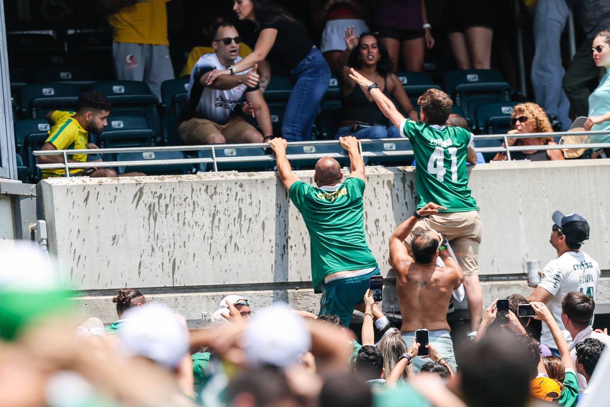Palmeiras - Botafogo