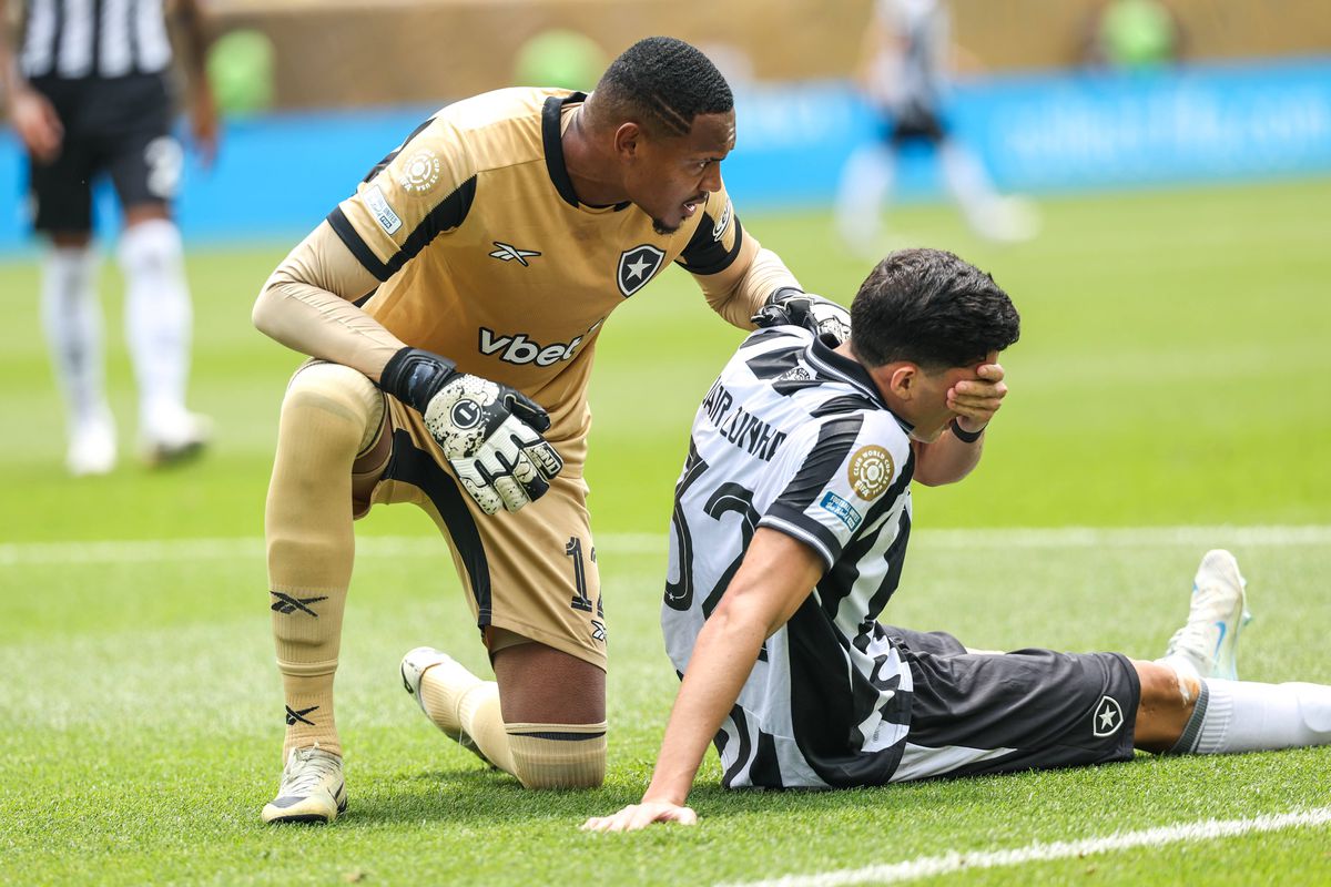 Palmeiras - Botafogo