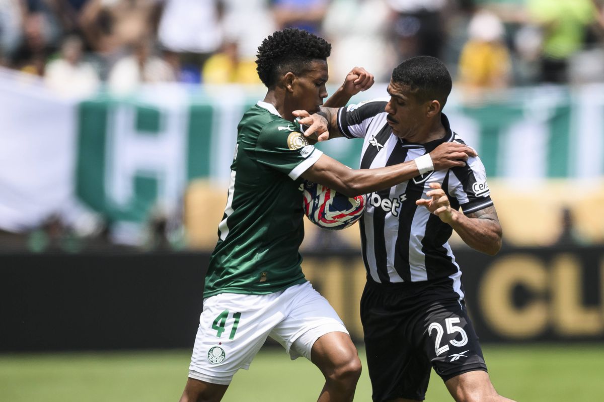 Palmeiras - Botafogo