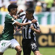 Palmeiras - Botafogo, în „optimile” Campionatului Mondial al Cluburilor 2025 / Foto: Imago Images