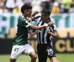 Palmeiras - Botafogo, în „optimile” Campionatului Mondial al Cluburilor 2025 / Foto: Imago Images