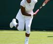 Ce spune Serena Williams despre imaginile surprinse la Wimbledon cu ea și Dimitrov