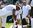 Ce spune Serena Williams despre imaginile surprinse la Wimbledon cu ea și Dimitrov