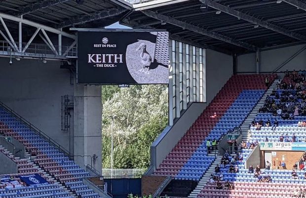 Între timp, în Anglia » Moment de reculegere pentru o rață pe nume Keith