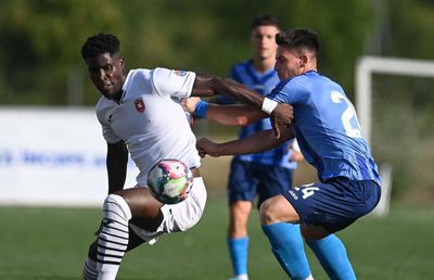 Le-a pus gând rău „lupilor galbeni”! Cei de la Șelimbăr amenință: „Vom impresiona”