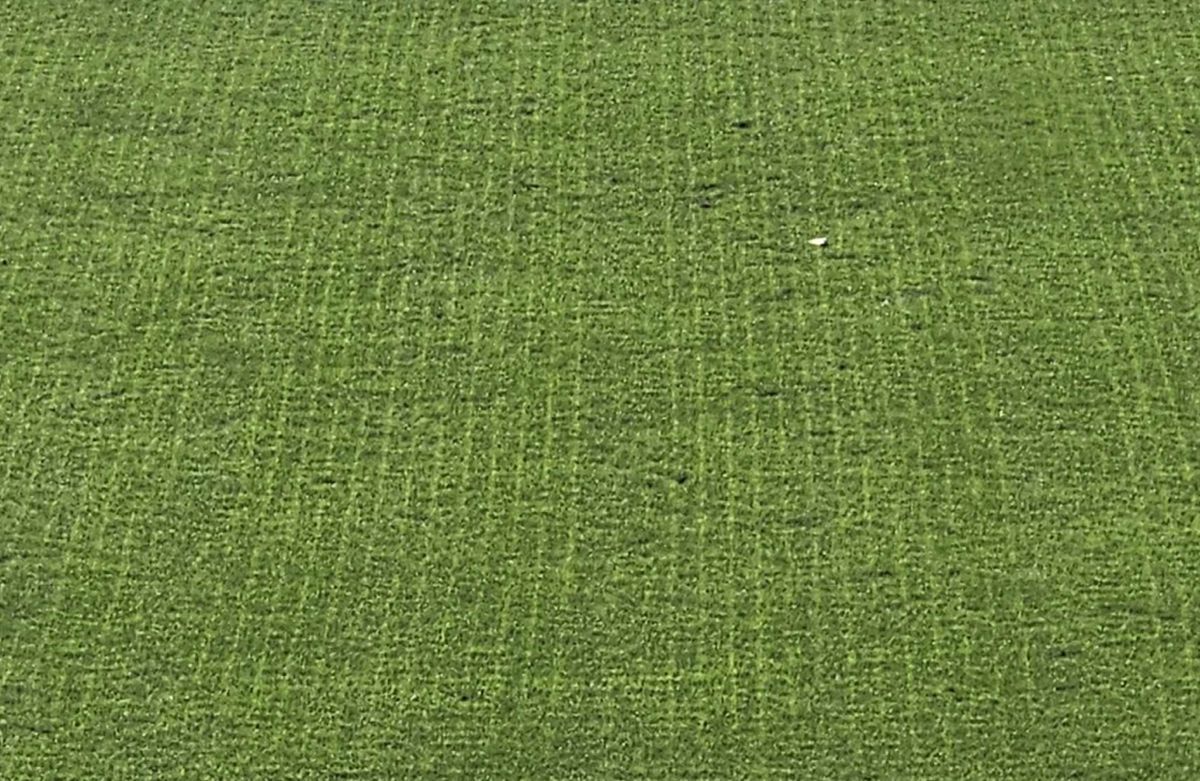 Gazonul din Ghencea suferă! Imagini de la meciul de Cupă, dintre CSA Steaua și U Cluj