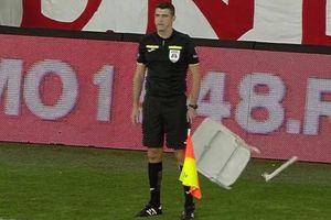 Reacția Jandarmeriei, după ce un scaun a fost la un pas să îl lovască pe arbitrul asistent în Dinamo - Botoșani