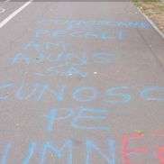 Palatul lui Gigi Becali a fost vandalizat / Foto: captură ecran Antena 1