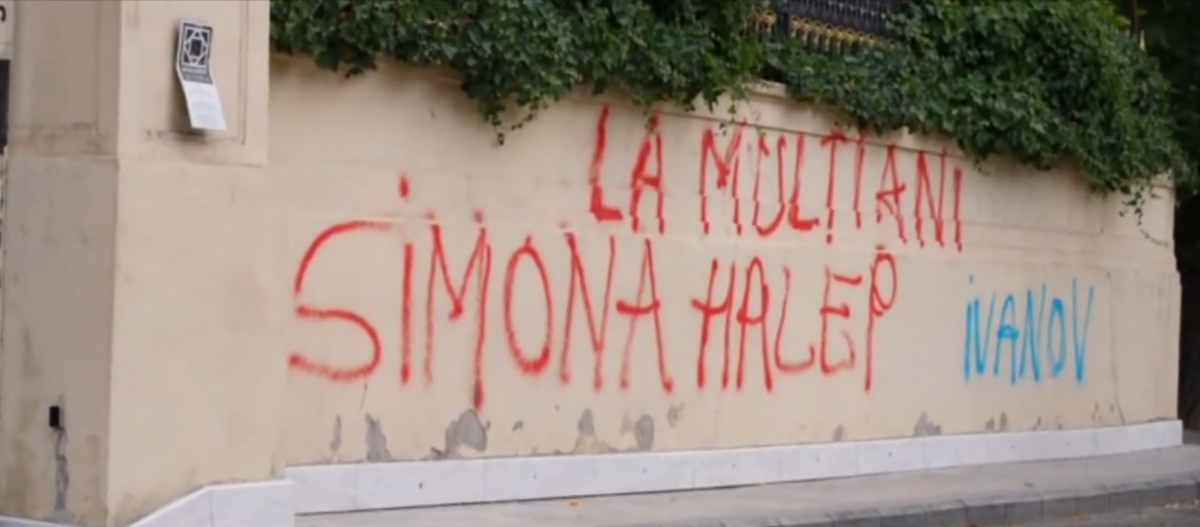 Palatul lui Gigi Becali, vandalizat
