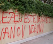 Palatul lui Gigi Becali a fost vandalizat / Foto: captură ecran Antena 1
