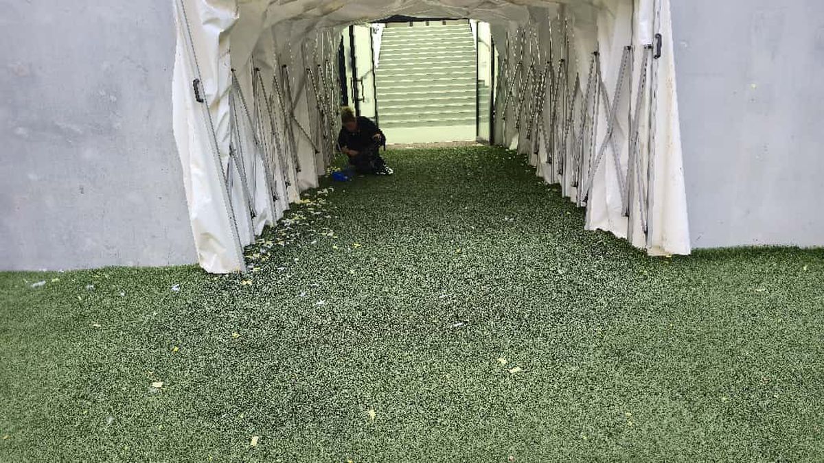 Înainte de FCSB - Oțelul, 28 septembrie