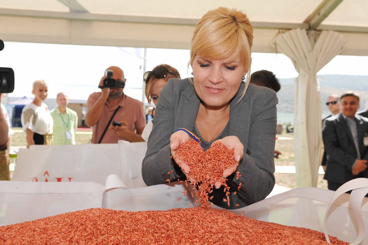 Ioanițoaia l-a întrebat pe Ilie Stan despre aventura cu Elena Udrea: „Ați văzut cum arăta!”