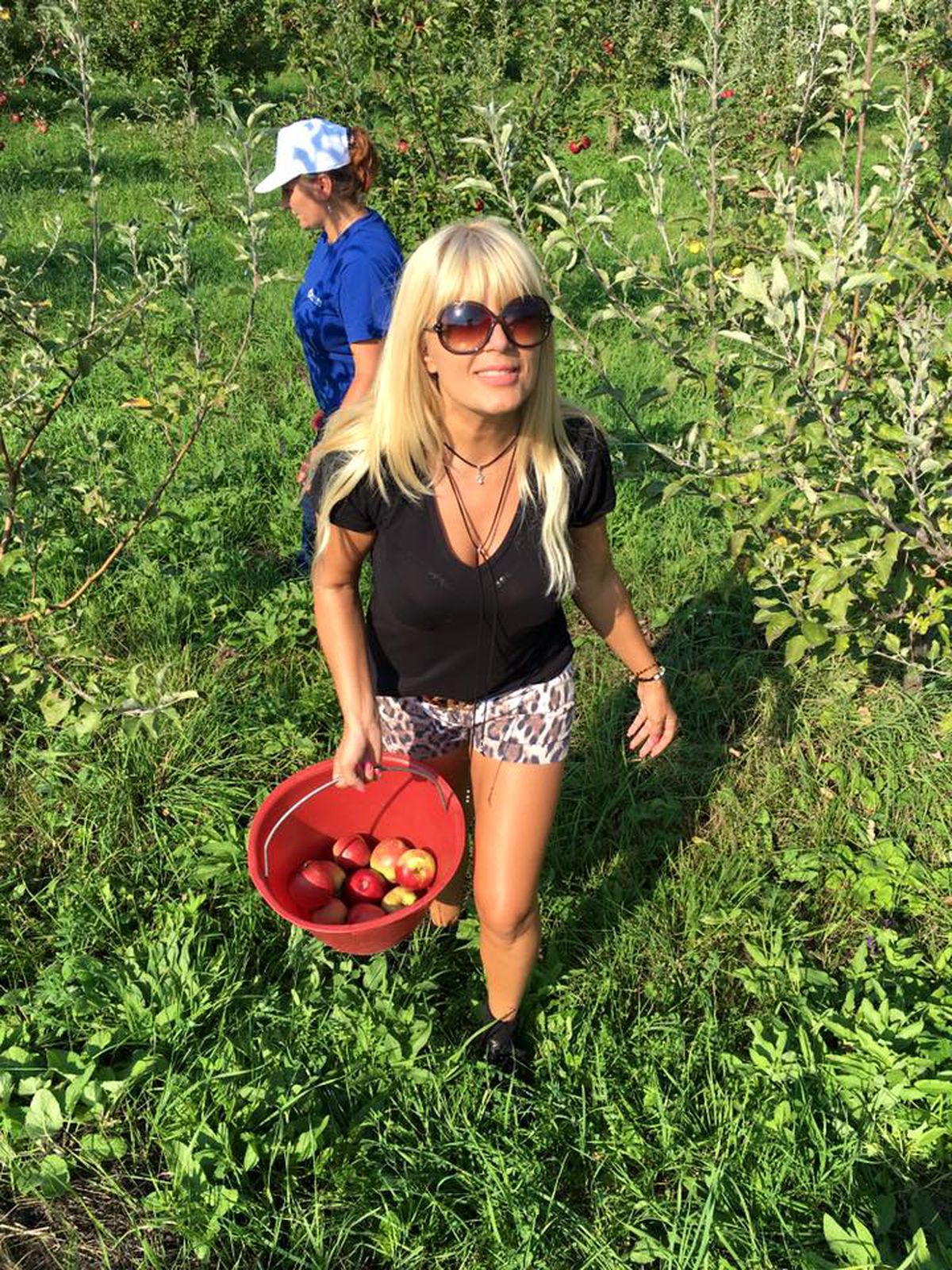 Ioanițoaia l-a întrebat pe Ilie Stan despre aventura cu Elena Udrea: „Ați văzut cum arăta!”