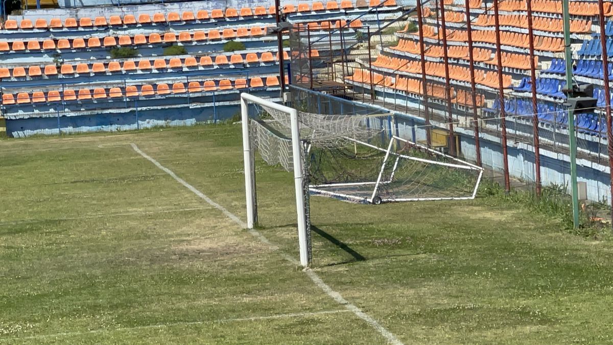 Stadion Tg. Mureș, Vlad Nedelea