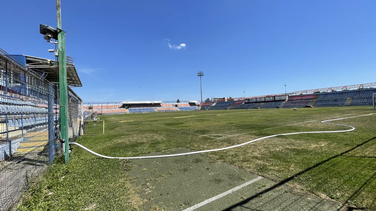 Stadion Tg. Mureș, Vlad Nedelea