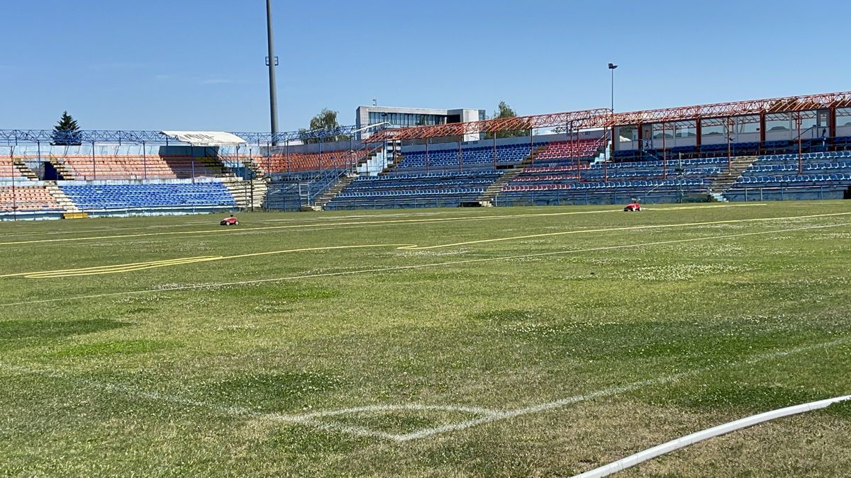 Stadion Tg. Mureș, Vlad Nedelea