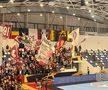 Rapid - Krim Ljubljana în Liga Campionilor