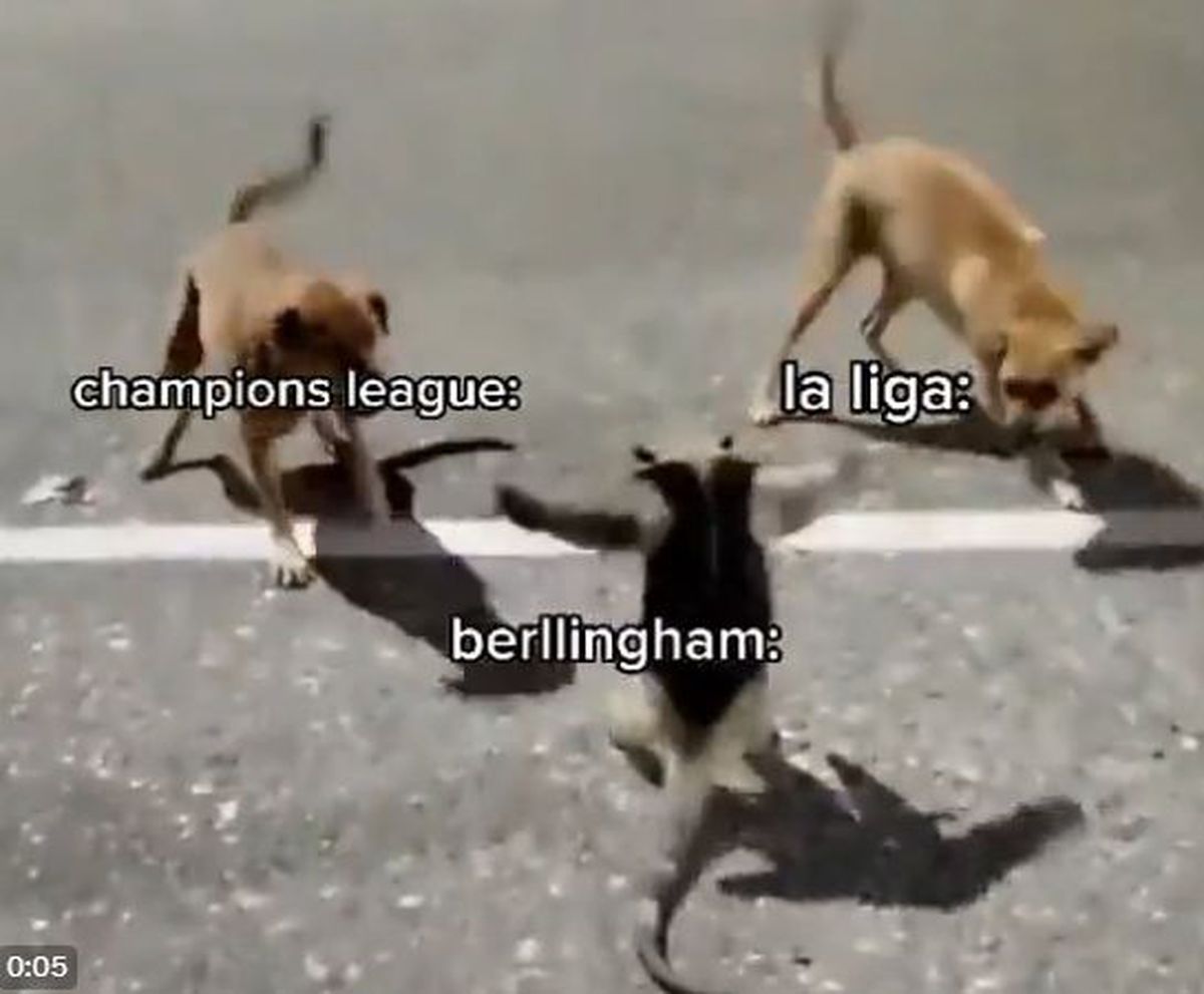 Cele mai savuroase glume după El Clasico: „Îl văd pe Bellingham așa mai des decât îmi văd familia”