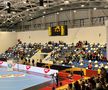 Rapid - Krim Ljubljana în Liga Campionilor