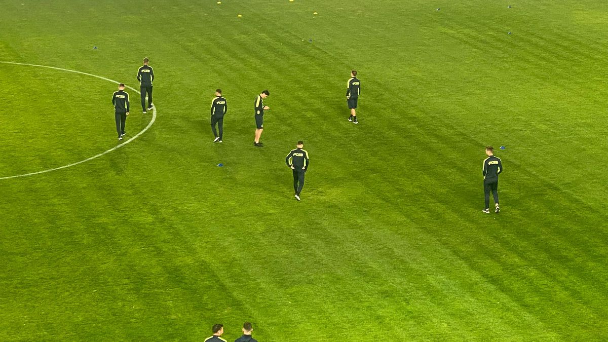 Petrolul - FCSB, înainte de meci