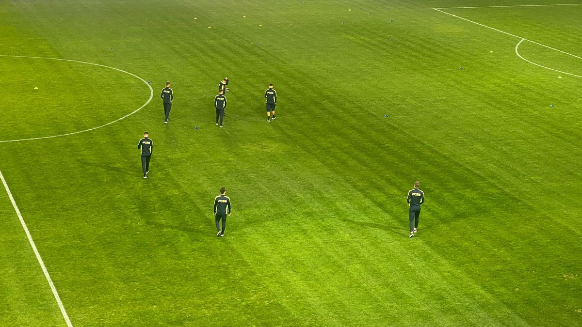 Petrolul - FCSB, înainte de meci