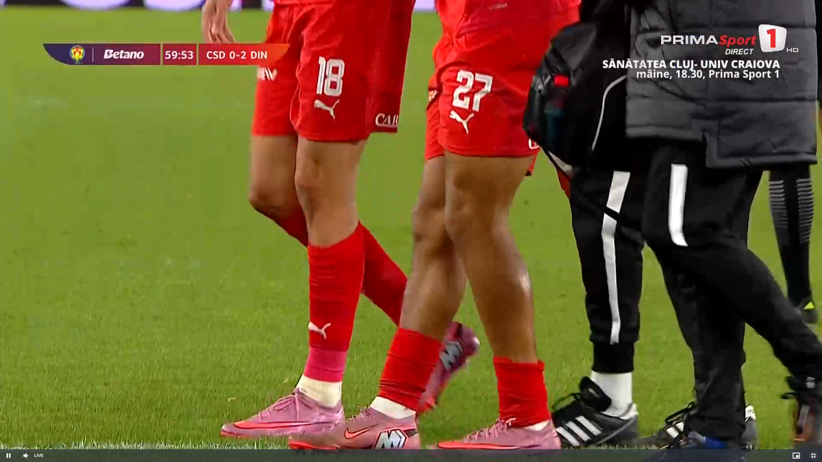 Emoții pentru Dinamo » Titularul lui Kopic a ieșit accidentat