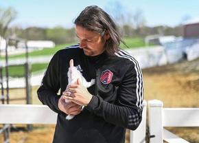 A furat un pinguin, a fost închis 101 zile și „a murit” de 3 ori pe teren » „Cel mai nebun om din fotbal”, angajat acum să ridice echipa