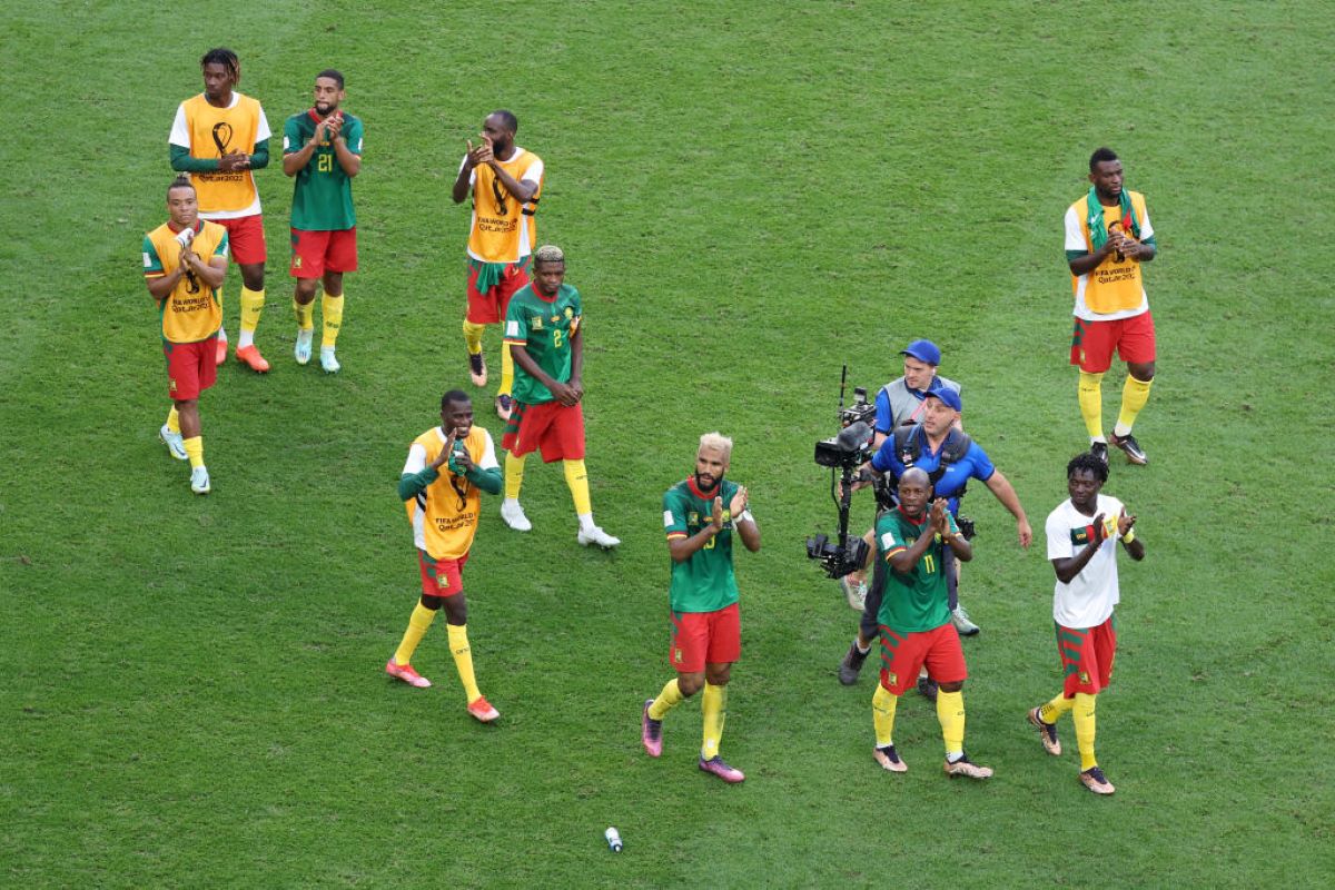 Camerun - Serbia, cele mai spectaculoase imagini din timpul partidei