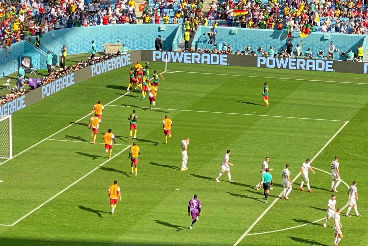 Camerun - Serbia, cele mai spectaculoase imagini din timpul partidei