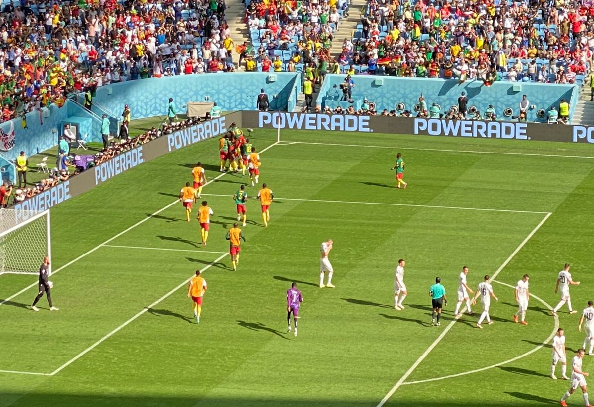 Camerun - Serbia, cele mai spectaculoase imagini din timpul partidei