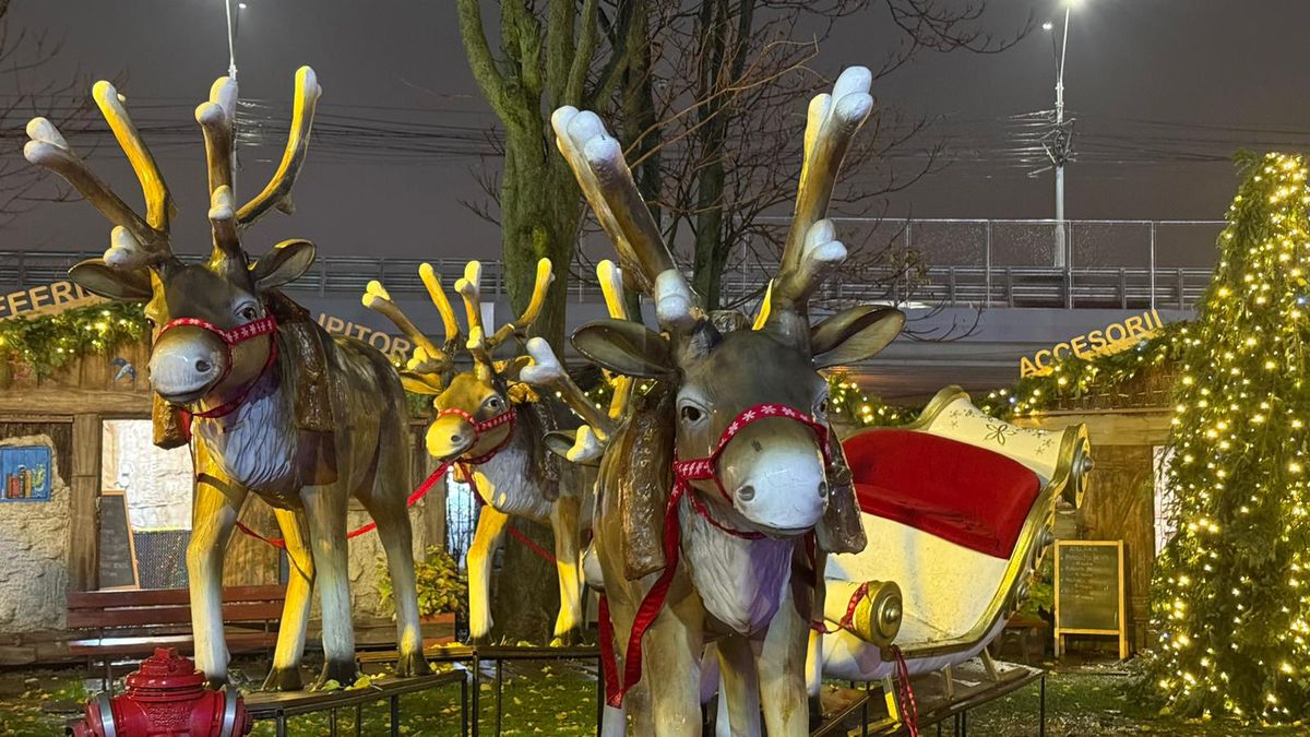 Înainte de Rapid - Csikszereda, 28 noiembrie 2025