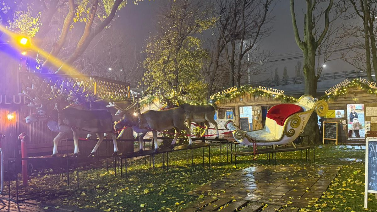 Înainte de Rapid - Csikszereda, 28 noiembrie 2025