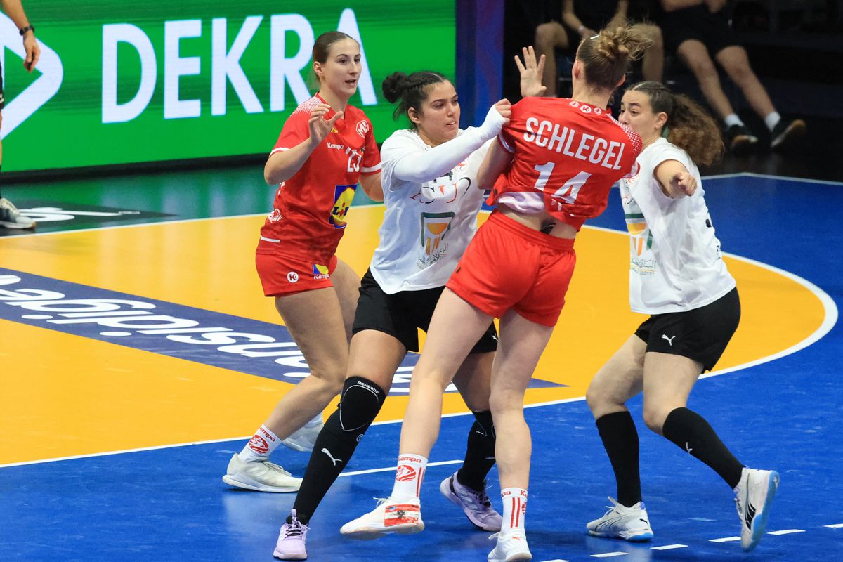 Imagini de la meciul Austria - Egipt 29-20