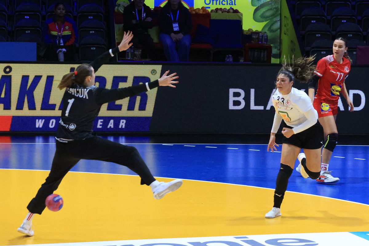 Imagini de la meciul Austria - Egipt 29-20