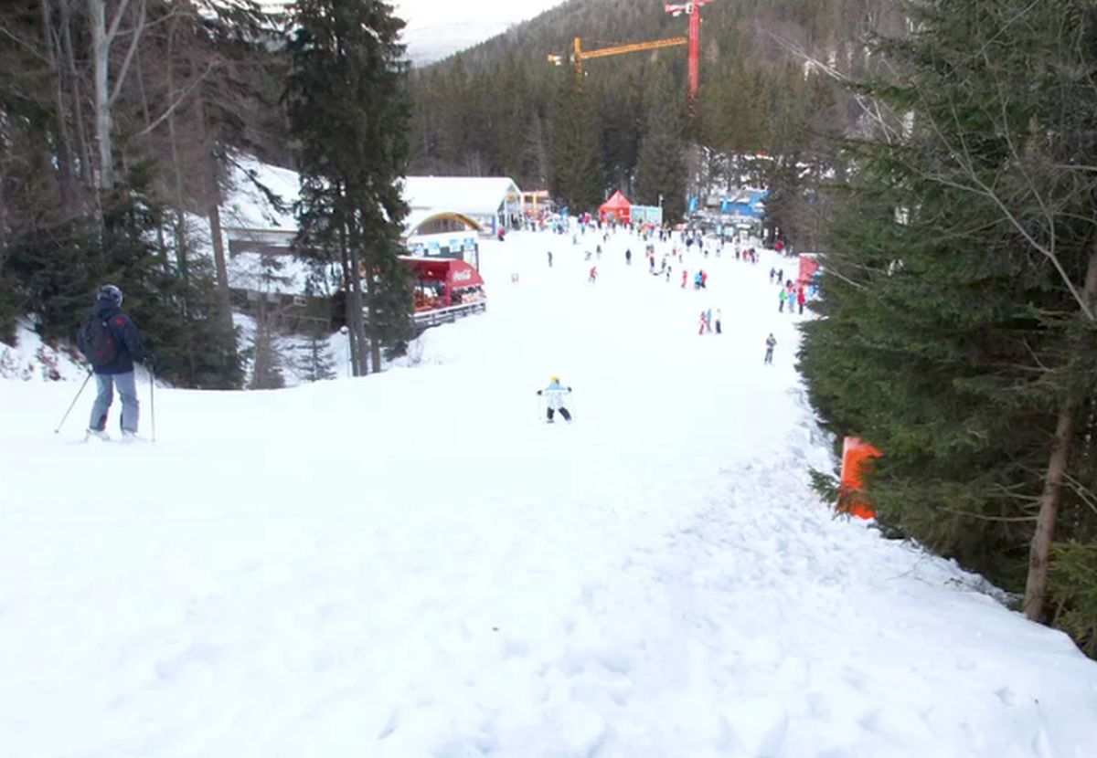 12 ani de la o moarte tulburătoare » Fostul campion european s-a izbit cu sania de pom și a îndurerat o țară întreagă: „Intrat în comă profundă, a murit din cauza rănilor”