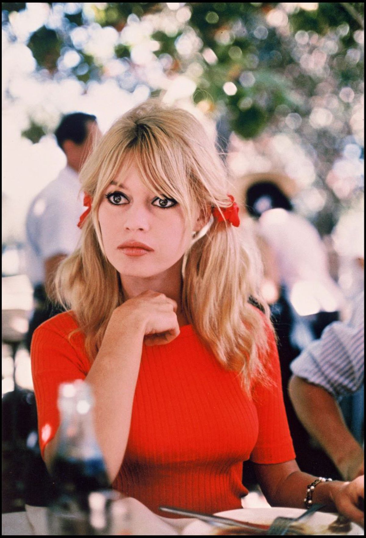 Brigitte Bardot - diverse