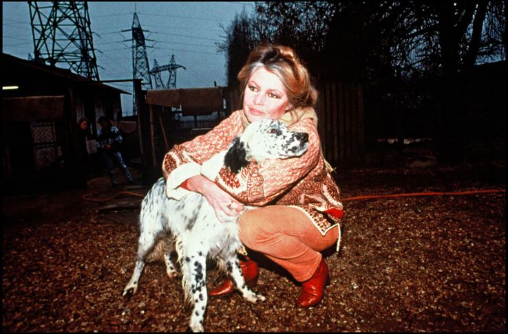 Brigitte Bardot Foto: Imago Images