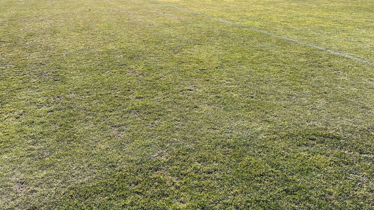 GSP a vizitat stadionul lui Dinamo cu o zi înainte de Derby de România » Cum arată gazonul