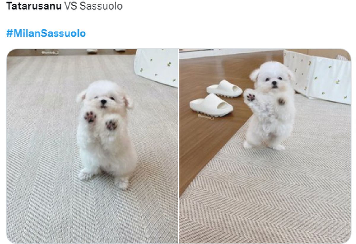 „Tătărușanu, ca o broască țestoasă”. Microbiștii și jurnaliștii n-au avut milă de român după 2-5 cu Sassuolo: cele mai tari glume