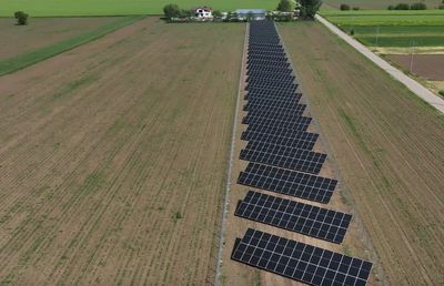 Idei de business pentru viitor: iată cum poți începe o afacere cu un parc fotovoltaic