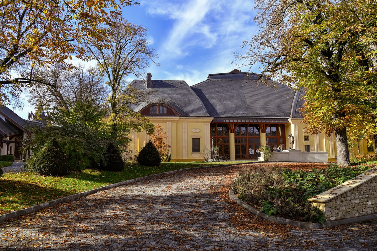 Pe cine susține Sepsi la alegerile din Ungaria » Viktor Orban amenință democrația: „La dracu', nu credeam că vrea o dictatură!”